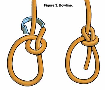 Bowline Knot